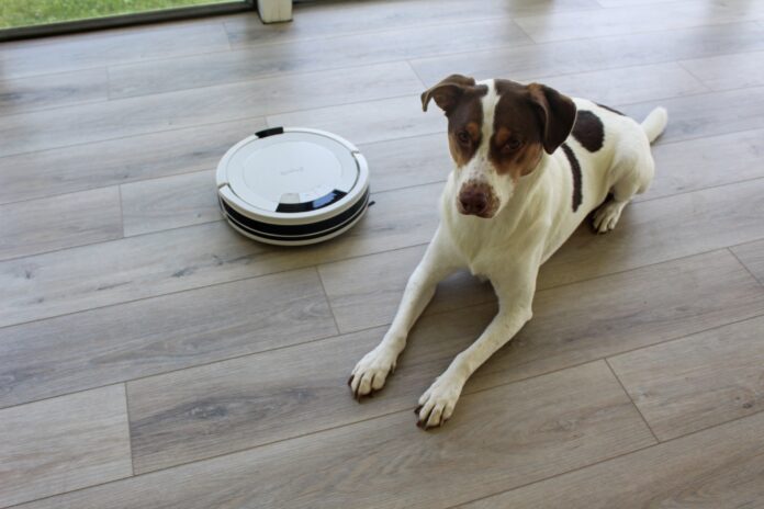 Best Hoover for Dog Hair to Choose in