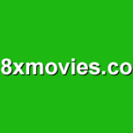8xMovies: Website Overview and Warnings
