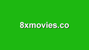 8xMovies: Website Overview and Warnings