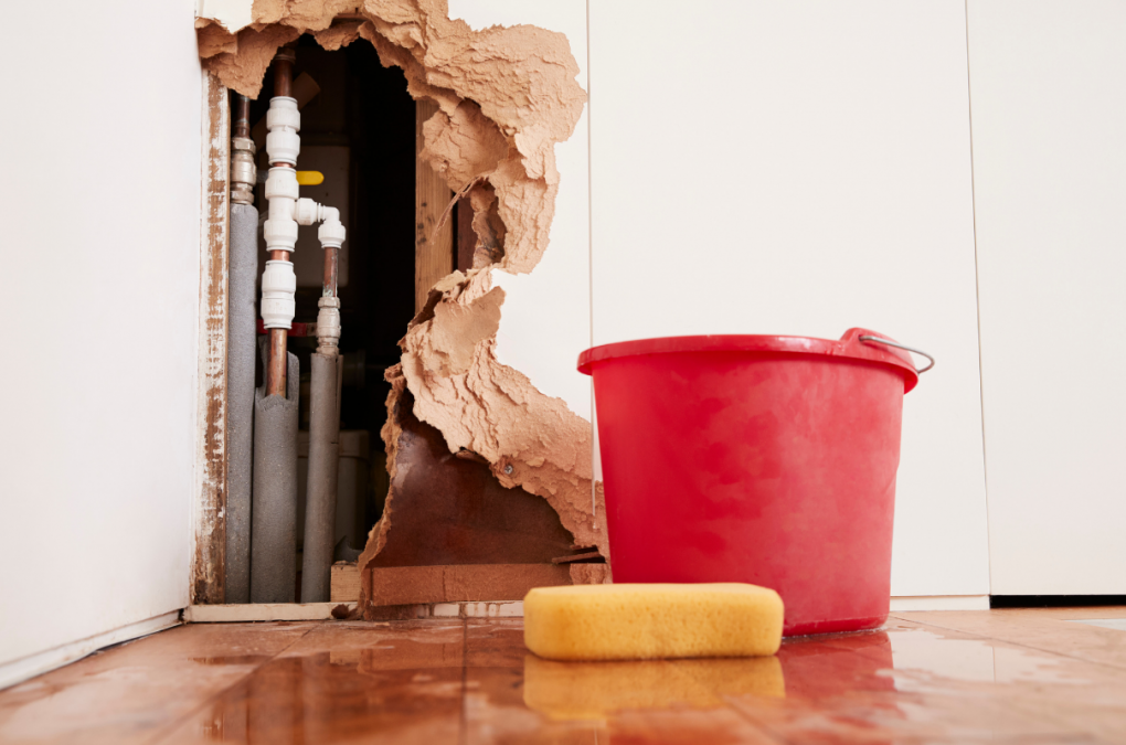 Leaking Pipe Joints: Stop Moisture Before Mold Develops