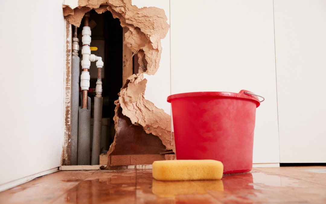 Leaking Pipe Joints: Stop Moisture Before Mold Develops