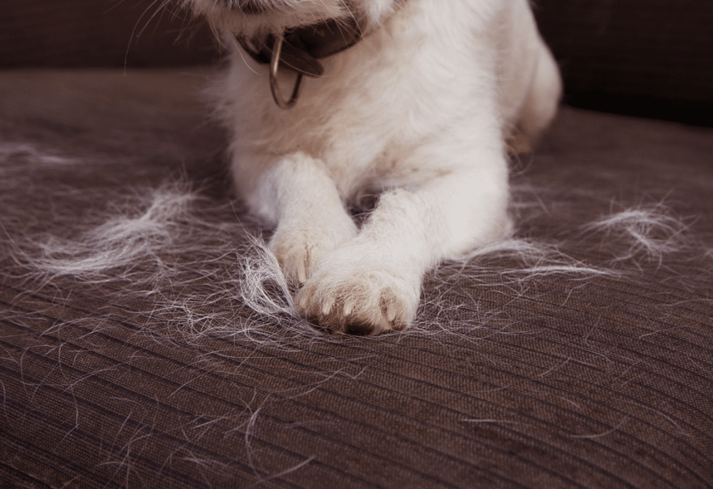 Pet Hair Buildup - Remove Fur From Seats Faster